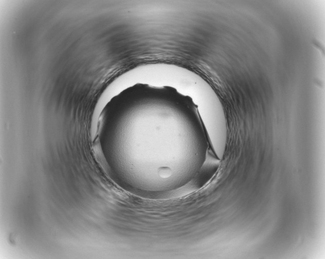 X0000093220045200710241225