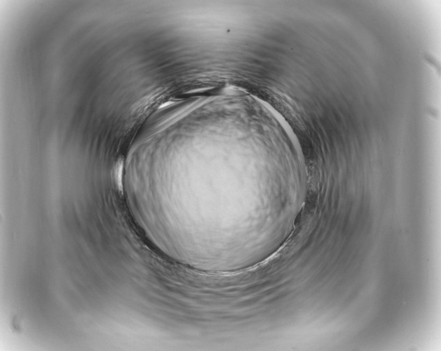 X0000093220047200710241224