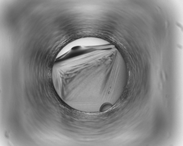 X0000093220048200710241224