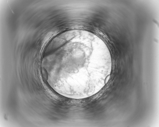 X0000093220049200710241224