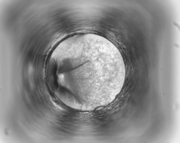 X0000093220050200710241224