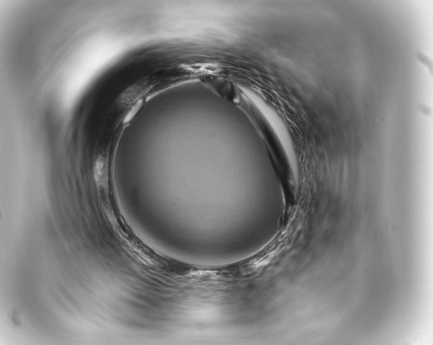 X0000093220052200710241224