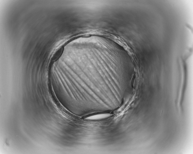 X0000093220055200710241224