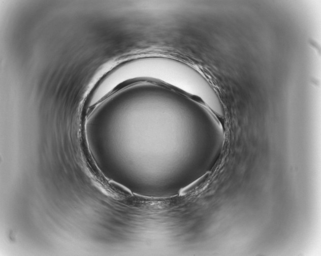 X0000093220056200710241224