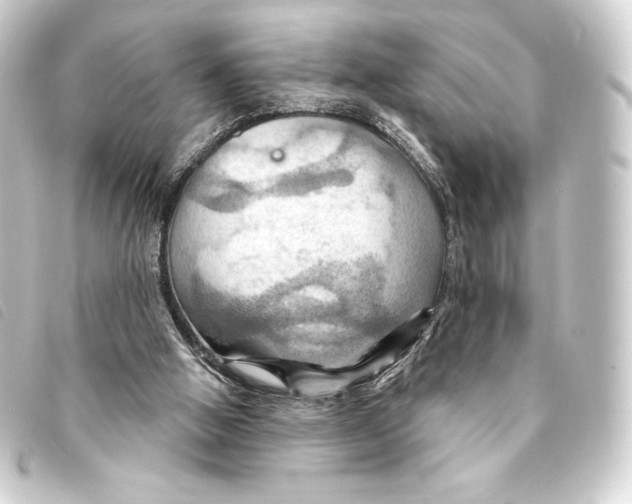 X0000093220058200710241224