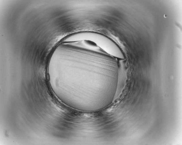 X0000093220060200710241224