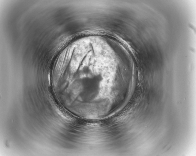 X0000093220061200710241224