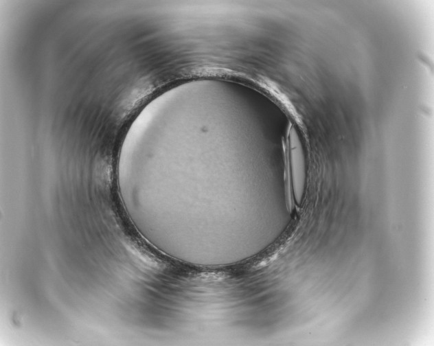 X0000093220063200710241224