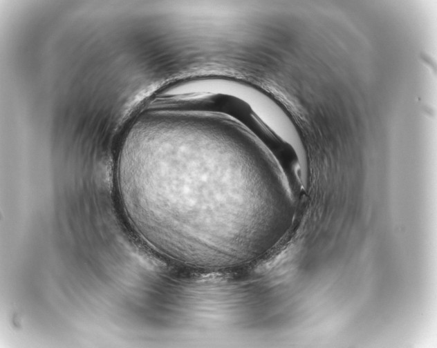 X0000093220064200710241224