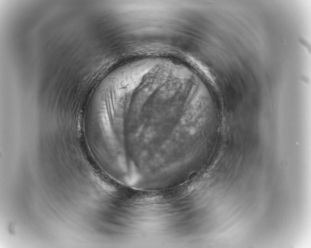 X0000093220065200710241224