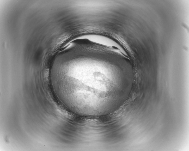 X0000093220066200710241224