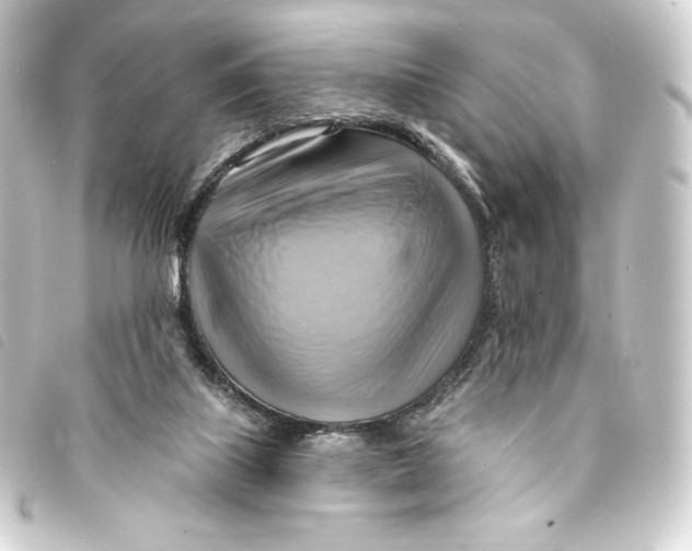 X0000093220067200710241224