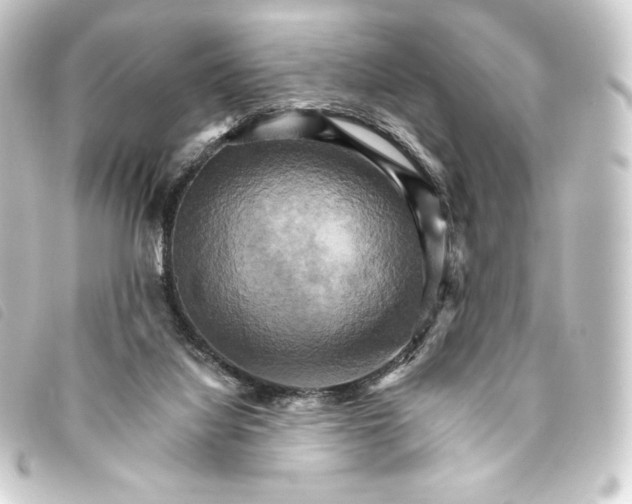 X0000093220068200710241224