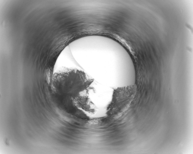 X0000093220069200710241224