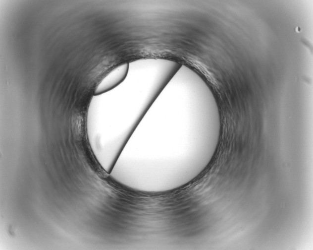 X0000093220071200710241224