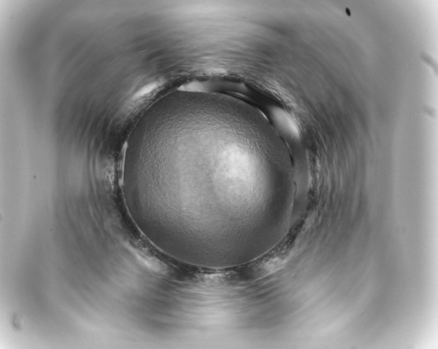 X0000093220072200710241224