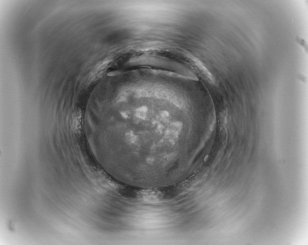 X0000093220073200710241224