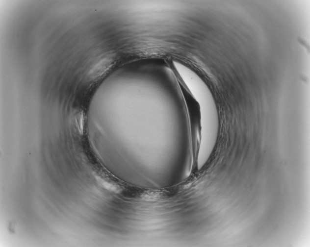 X0000093220076200710241224