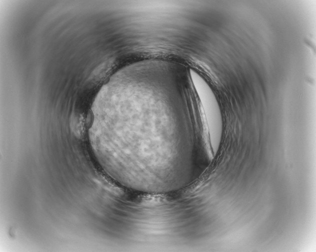 X0000093220077200710241224