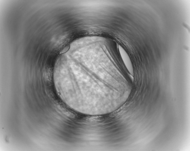 X0000093220078200710241224