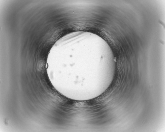 X0000093220079200710241224