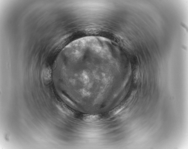 X0000093220081200710241224