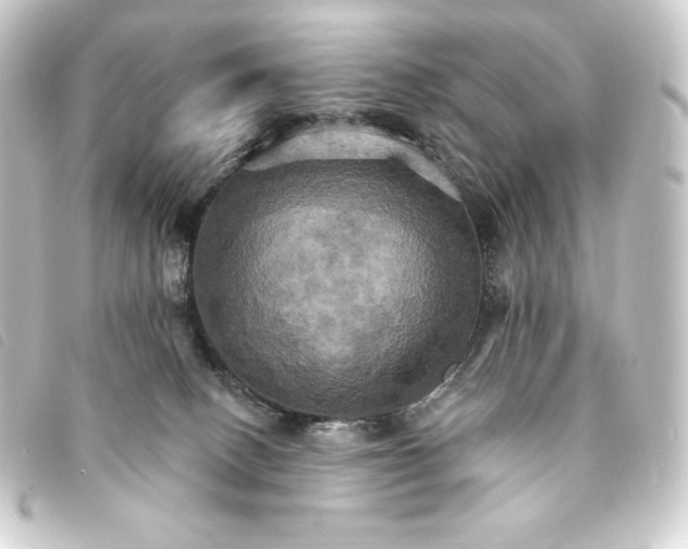 X0000093220082200710241224