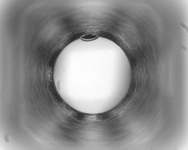 X0000093220083200710241224