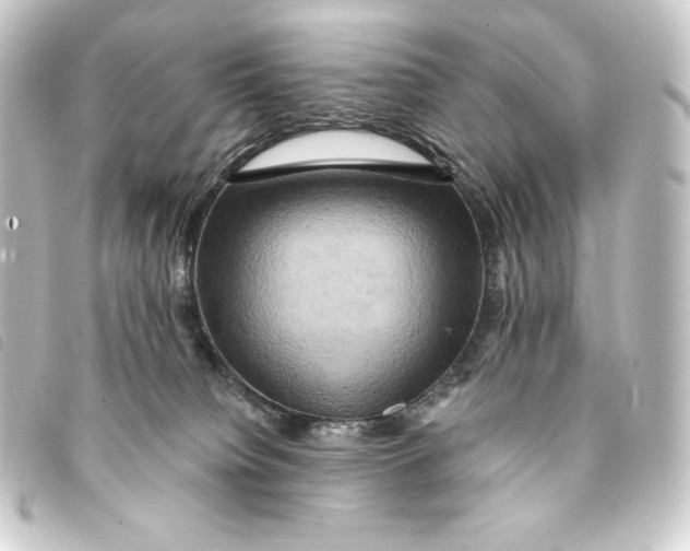 X0000093220084200710241224