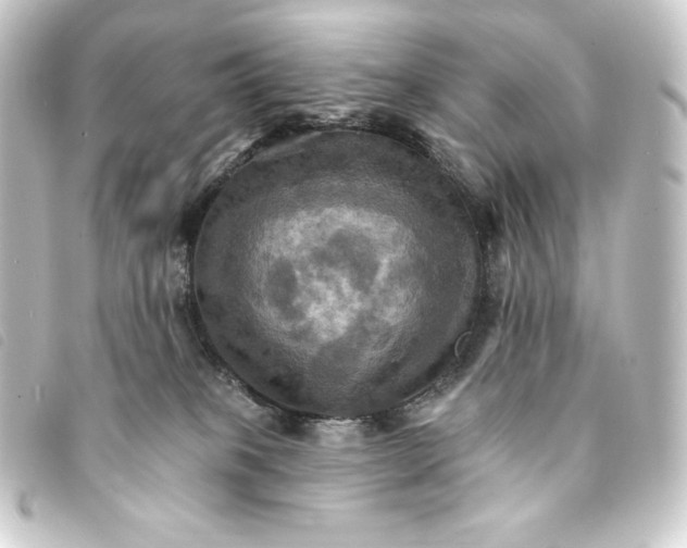 X0000093220085200710241224