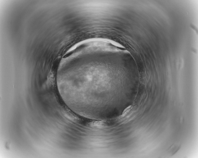 X0000093220086200710241224