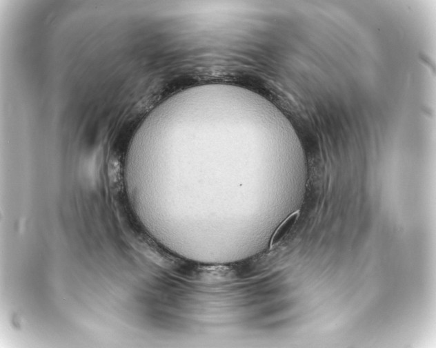 X0000093220087200710241224