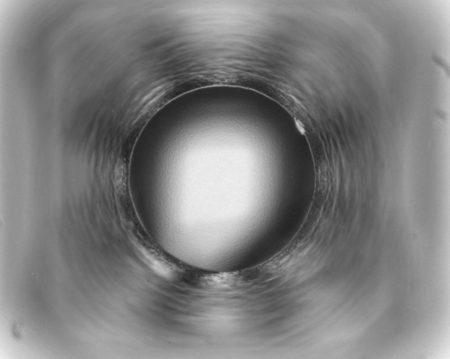 X0000093220092200710241224