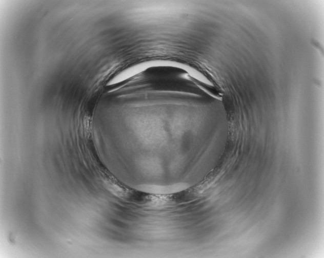 X0000093220093200710241224