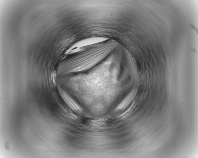 X0000093220094200710241224