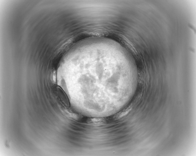 X0000093220095200710241224