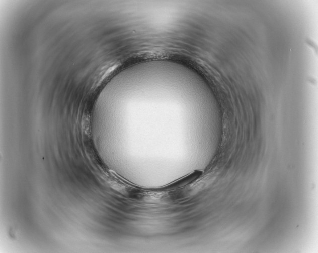 X0000093220096200710241224