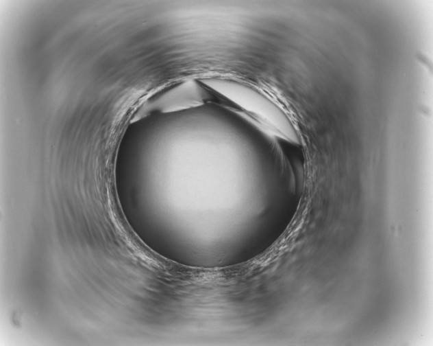 X0000093220097200710241224