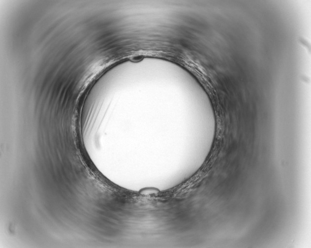 X0000093220098200710241224