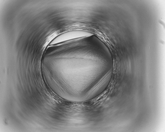 X0000093220099200710241224