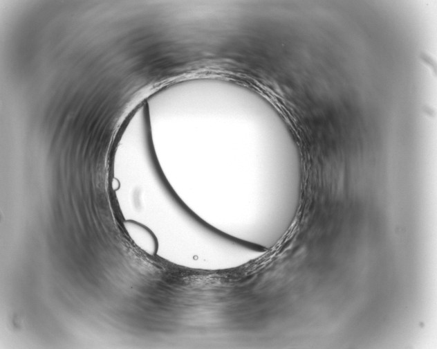 X0000093220100200710241224