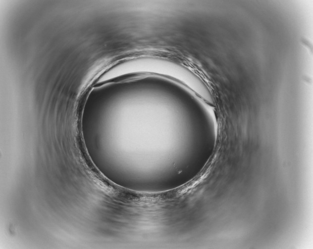 X0000093220101200710241224