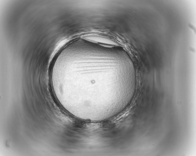 X0000093220102200710241224