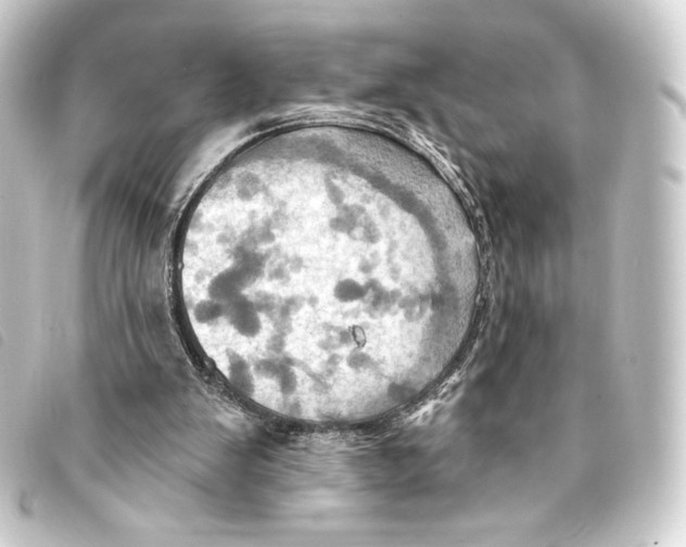 X0000093220103200710241224