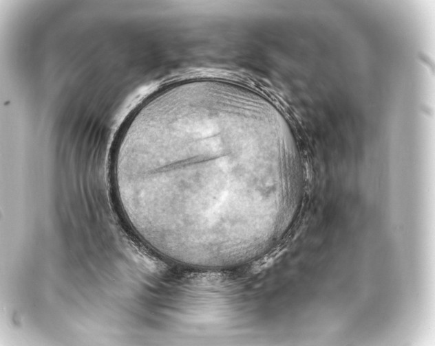 X0000093220104200710241224