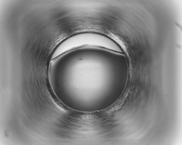 X0000093220105200710241224