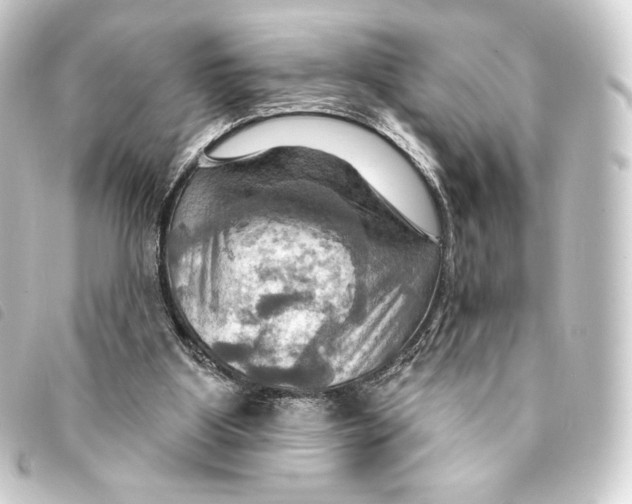 X0000093220107200710241224