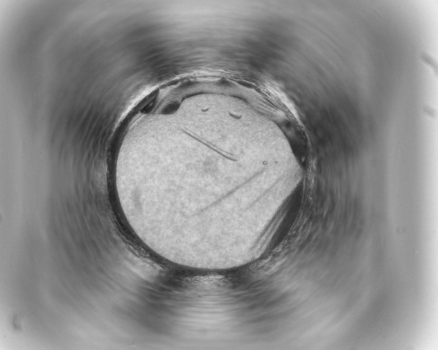 X0000093220108200710241224