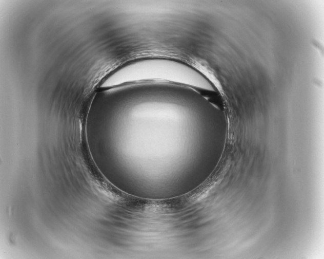 X0000093220109200710241224