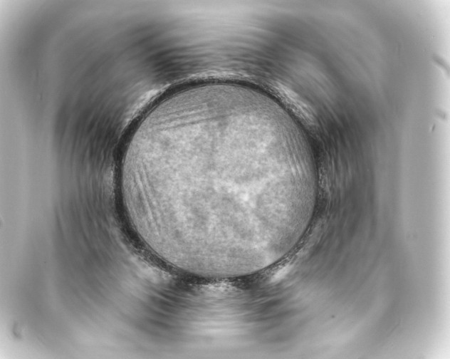 X0000093220112200710241224